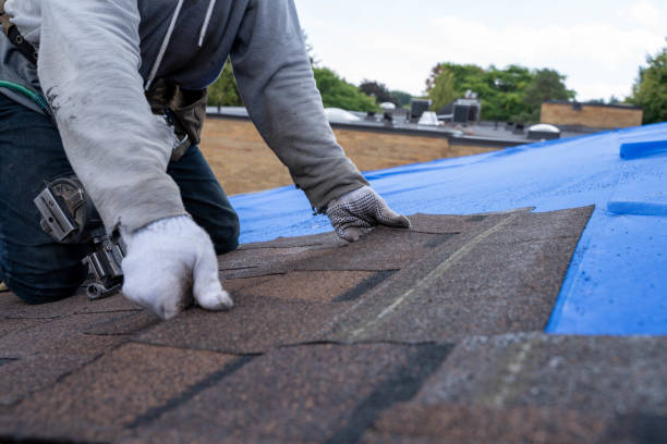 Best Commercial Roofing Services  in Lanse, MI